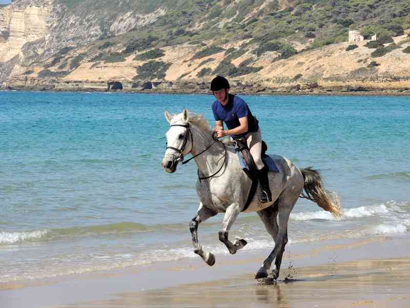 Explore Horse Riding Holidays Across Europe Riding Holidays